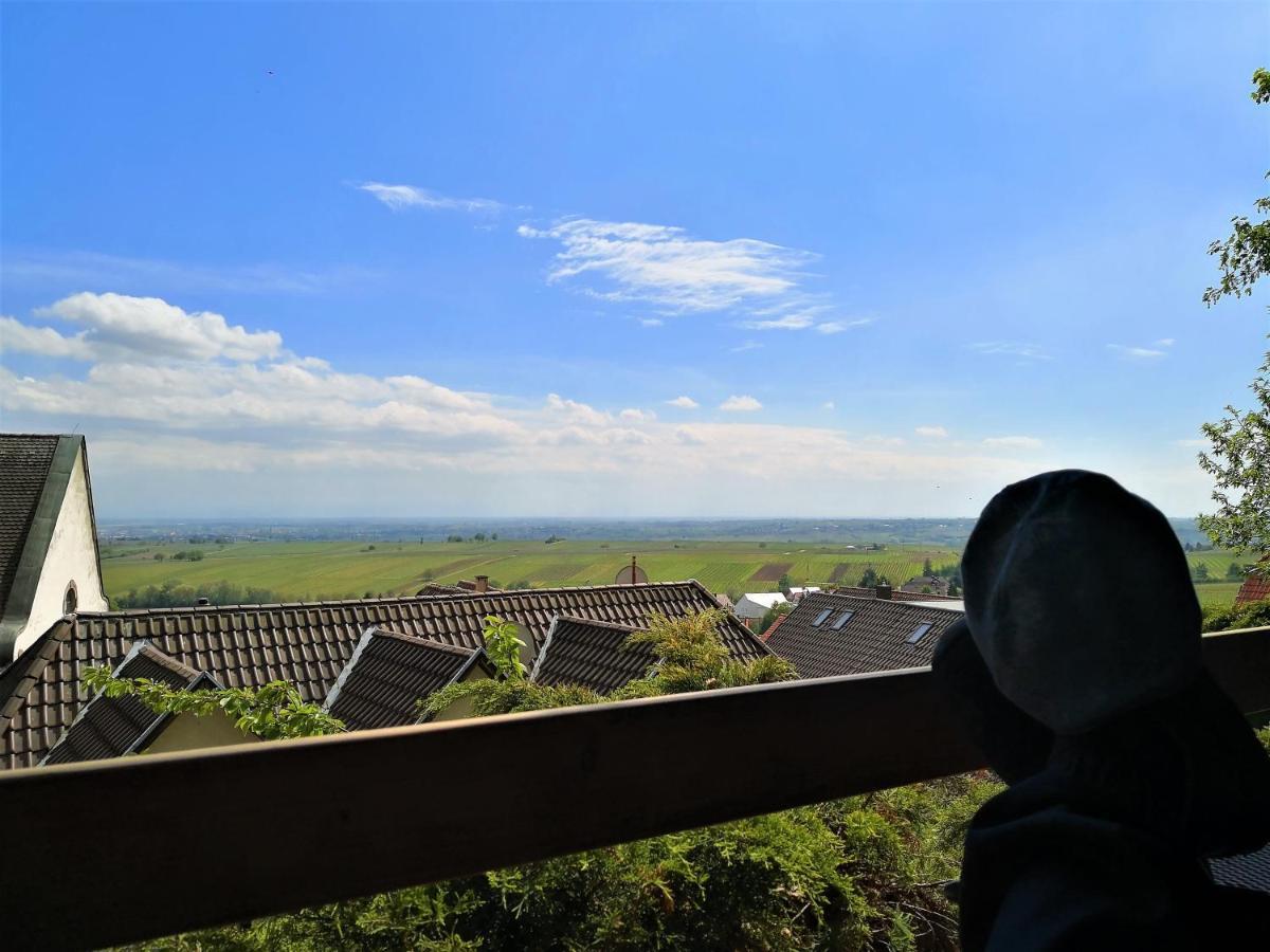 Haus Am Heiner Geissler Platz By Landgasthof Zickler Hotel Gleisweiler Екстериор снимка